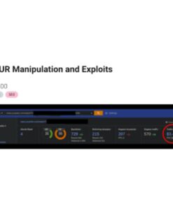 [Video Course] DR- UR Manipulation and Exploits by Luke Fanders, Holly Stark
