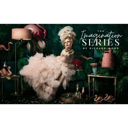[Video Course] The Imagination Series by Richard Wood, The Portrait Masters