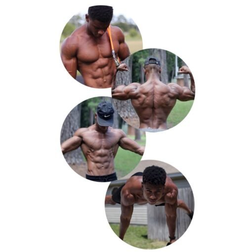 [Video Course] The BodyWeight BodyBuilder 2.0 by Austin Dunham - Image 2