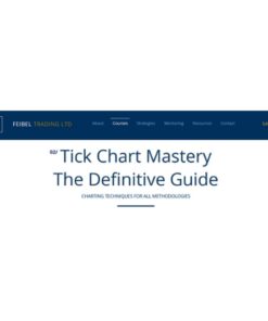 [Video Course] Tick Chart Mastery by Feibel Trading