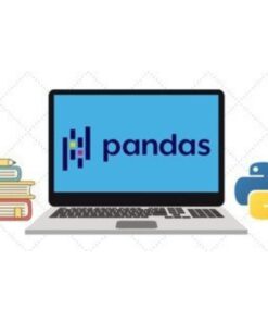 [Udemy Course] The Ultimate Pandas Bootcamp: Advanced Python Data Analysis by Andy Bek