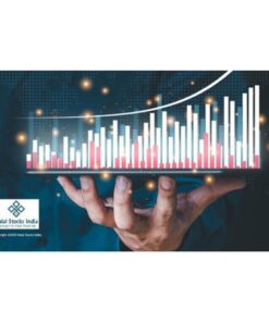 [Udemy Course] Basics of Halal Stock Market by Mohammed Faizan, Abdul Najeeb Khan