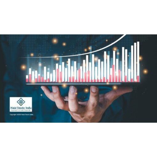 [Udemy Course] Basics of Halal Stock Market by Mohammed Faizan, Abdul Najeeb Khan