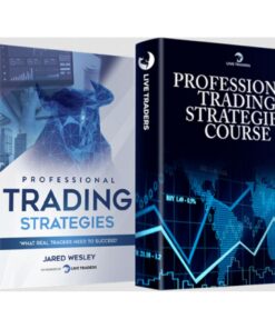 [Video Course] Professional Trading Strategies by Live Traders