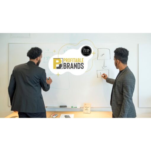 [Video Course] Top Figure by Profitable Brands - Image 2