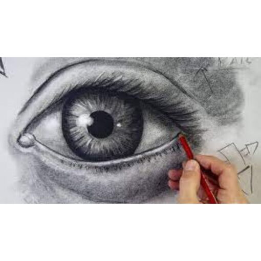 [Udemy Course] The Complete Drawing Masterclass: From Beginner to Advanced by Chad Neuman,