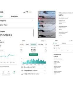 [Video Course] Ecom University Blueprint 2.0 by Ecom University