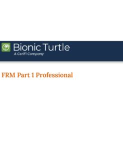 [Video Course] FRM Level 1 Bionic Turtle 2023