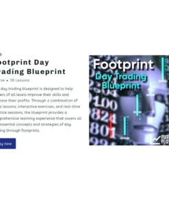 [Video Course] Footprint Day Trading Blueprint by Futures Flow