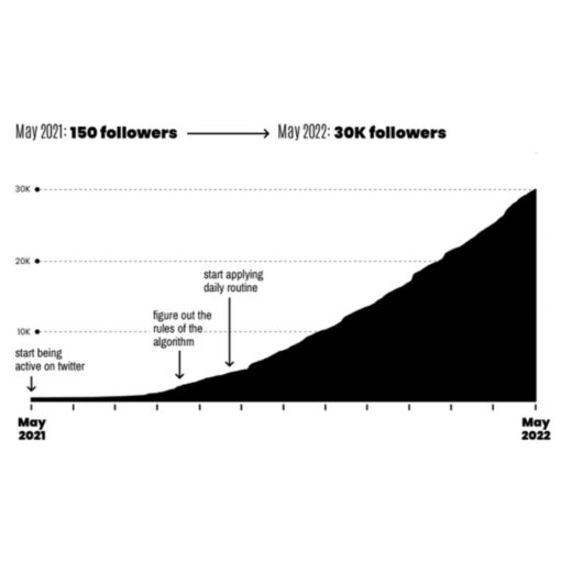 [Video Course] How To Dominate Twitter (Advanced Growth Bundle) by Dagobert Renouf - Image 2