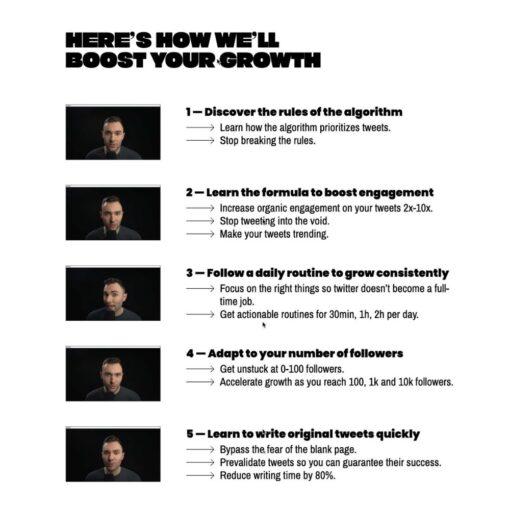 [Video Course] How To Dominate Twitter (Advanced Growth Bundle) by Dagobert Renouf - Image 3