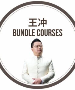 [Bundle Video Course] 王冲 19 Video Courses
