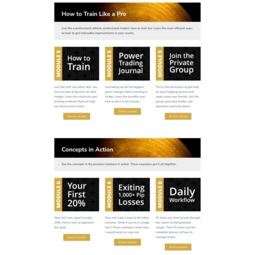 [Video Course] Zen8 Forex Hedging Program by Trading Heroes - Image 3