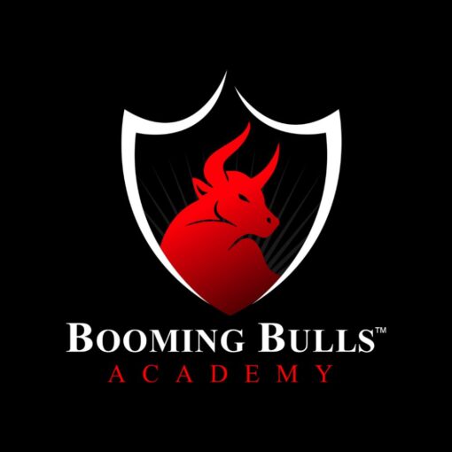 [Video Course] Indian Stock Market by Booming Bulls Academy - Image 2