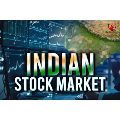 [Video Course] Indian Stock Market by Booming Bulls Academy