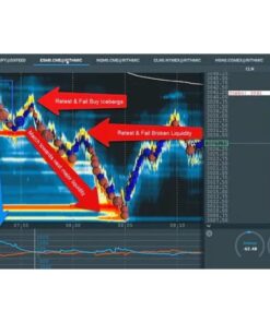 [Video Course] SI Stop- Iceberg Indicator Trading Setup & Education Course by Scott Pulcini