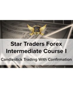 [Video Course] Star Traders Forex Intermediate Course I by KarenFoo