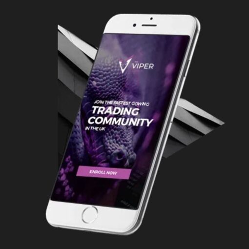 [Video Course] The Viper Advanced Program - Image 3