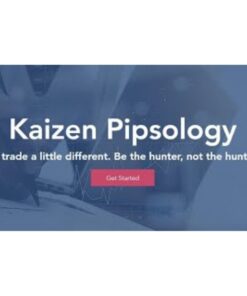 [Video Course] Kaizen Pipsology