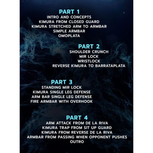 [Video Course] Attacking The Arm From Everywhere No Gi by Mica Galvao - Image 2