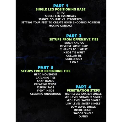 [Video Course] World Championship Single Leg Setups by Kyle Dake - Image 2