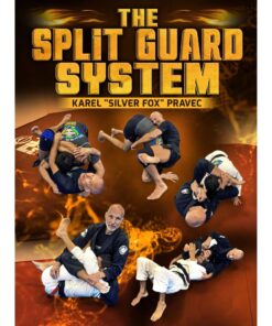 [Video Course] The Split Guard System by Karel "Silver Fox" Pravec