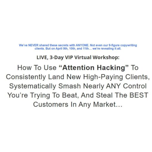 [Video Course] The 3 Day “Attention Hacking” VIP Workshop by Stefan Georgi - Image 3