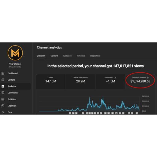 [Video Course] Youtube Magnates Join The Top 1% Who Dominate On Youtube by MagnatesMedia - Image 2