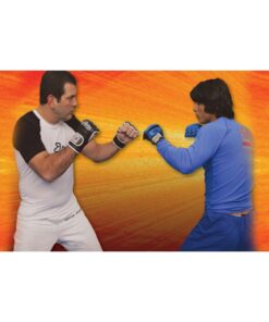 [Udemy Course] Brazilian Jiu-Jitsu Techniques Vol. 8 - Mixed Martial Arts by Sport Videos