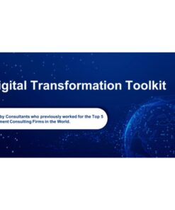 [PDF Course] Digital Transformation Toolkit by Domont Consulting