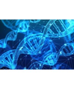 [Udemy Course] Genetics and Next Generation Sequencing for Bioinformatics by Shreeya Kumaresan