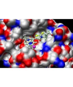 [Udemy Course] Bioinformatics; Learn Docking & Mol Dynamics Simulation by Muhammad Dujana