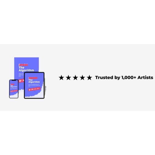 [PDF Course] F#CK The Algorithm – Grow an audience as an Artist by thinking Outside the Box by Teezy - Image 2