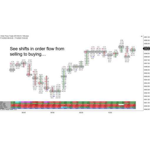 [Video Course] Strategic Order Flow Trading by OrderFlows - Image 2