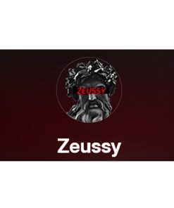 [Video Course] ZEUSSY Mentorship