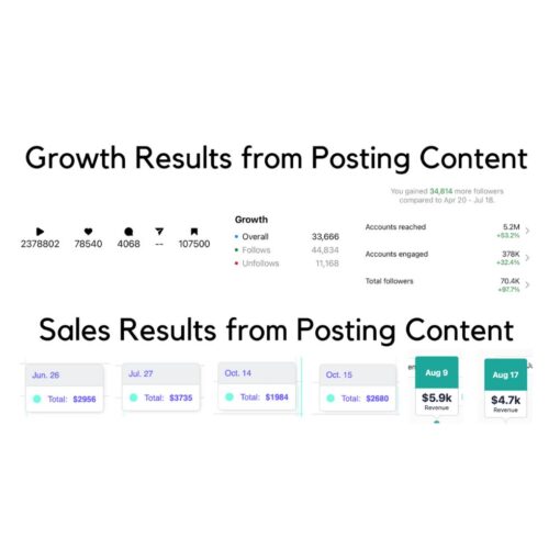 [Video Course] The IG Strategy by Annalise Buttigieg - Image 2