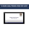 [Video Course] 5-Figure Email Promos From Tiny Lists by Justin Goff - Image 2
