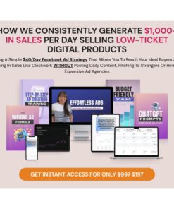 [Video Course] Efforless Ads by Mye De Leon