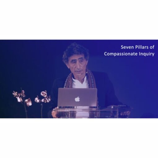 [Video Course] The Compassionate Inquiry Short Course by Gabor Mate - Image 2