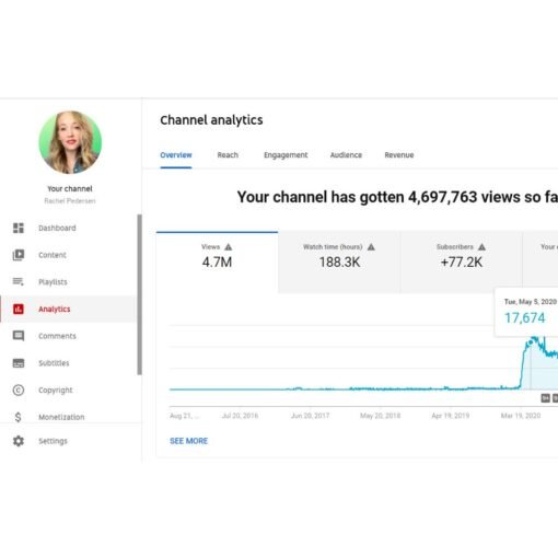 [Video Course] Youtube Academy by Rachel Pedersen - Image 2