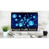 [Video Course] Organic Traffic Secrets by Systems By Design - Image 2