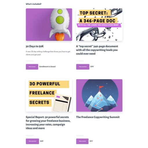 [Video Course] Ultimate Freelance Freedom Bundle by Robert Allen - Image 2