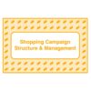 [Video Course] Shopping Campaign Structure and Management by Take Some Risk