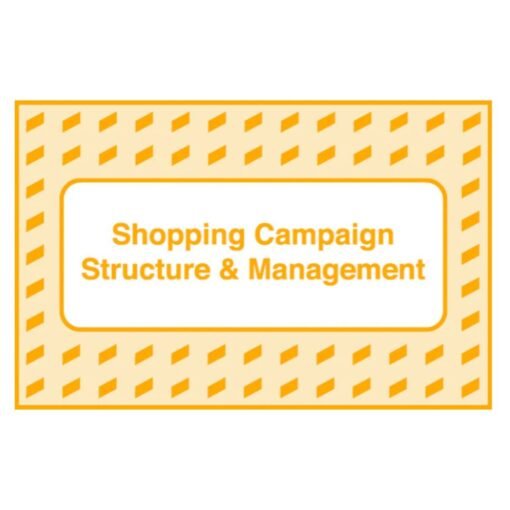 [Video Course] Shopping Campaign Structure and Management by Take Some Risk