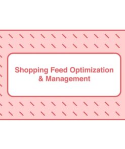 [Video Course] Shopping Feed Optimization and Management by Take Some Risk