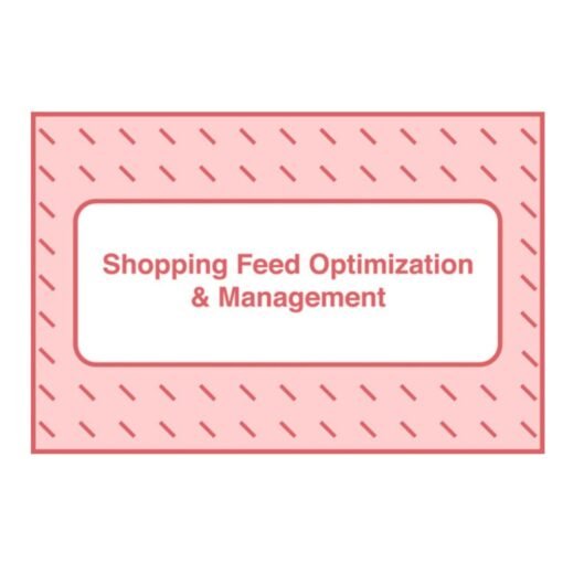 [Video Course] Shopping Feed Optimization and Management by Take Some Risk