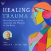 [Video Course] The Healing Trauma Online Course by Peter Levine