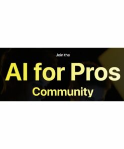 [Video Course] AI For Pros by Sirio Berati