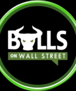 [Video Course] Bulls on Wall Street Mentorship by Paul Singh